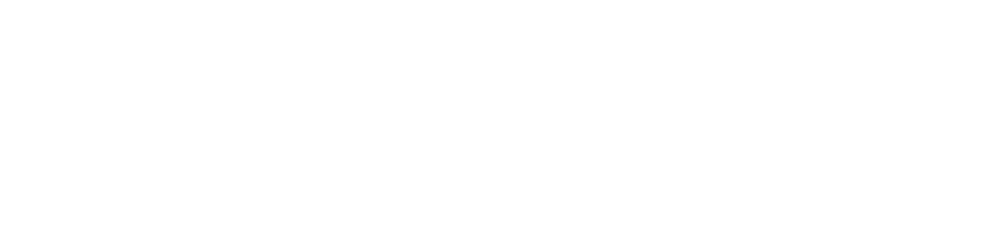Xpress Elite Carriers LLC